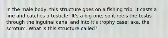 In the male body, this structure goes on a fishing trip. It casts a line and catches a testicle! It's a big one, so it reels the testis through the inguinal canal and into it's trophy case; aka, the scrotum. What is this structure called?