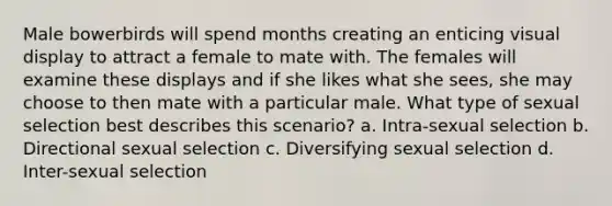 Male bowerbirds will spend months creating an enticing visual display to attract a female to mate with. The females will examine these displays and if she likes what she sees, she may choose to then mate with a particular male. What type of sexual selection best describes this scenario? a. Intra-sexual selection b. Directional sexual selection c. Diversifying sexual selection d. Inter-sexual selection