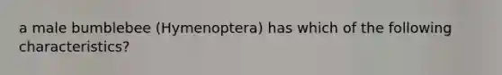 a male bumblebee (Hymenoptera) has which of the following characteristics?