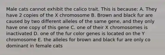 Male cats cannot exhibit the calico trait. This is because: A. They have 2 copies of the X chromosome B. Brown and black fur are caused by two different alleles of the same gene, and they only have one copy of this gene C. one of their X chromosomes is inactivated D. one of the fur color genes is located on the Y chromosome E. the alleles for brown and black fur are only co dominant in female cats