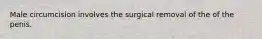 Male circumcision involves the surgical removal of the of the penis.