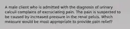 A male client who is admitted with the diagnosis of urinary calculi complains of excruciating pain. The pain is suspected to be caused by increased pressure in the renal pelvis. Which measure would be most appropriate to provide pain relief?