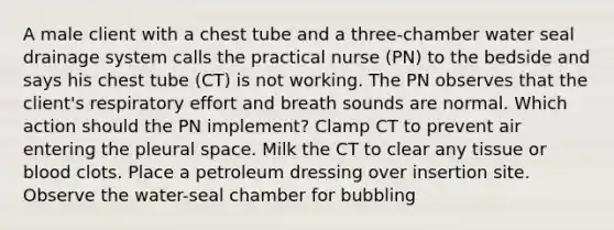 A male client with a chest tube and a three-chamber water seal drainage system calls the practical nurse (PN) to the bedside and says his chest tube (CT) is not working. The PN observes that the client's respiratory effort and breath sounds are normal. Which action should the PN implement? Clamp CT to prevent air entering the pleural space. Milk the CT to clear any tissue or blood clots. Place a petroleum dressing over insertion site. Observe the water-seal chamber for bubbling