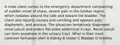 A male client comes to the emergency department complaining of sudden onset of sharp, severe pain in the lumbar region, which radiates around the side and toward the bladder. The client also reports nausea and vomiting and appears pale, diaphoretic, and anxious. The physician tentatively diagnosed renal calculi and orders flat-plate abdominal X-rays. Renal calculi can form anywhere in the urinary tract. What is their most common formation site? A Kidney B Ureter C Bladder D Urethra