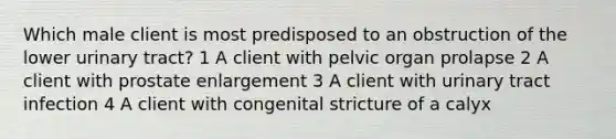 Which male client is most predisposed to an obstruction of the lower urinary tract? 1 A client with pelvic organ prolapse 2 A client with prostate enlargement 3 A client with urinary tract infection 4 A client with congenital stricture of a calyx