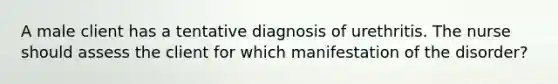 A male client has a tentative diagnosis of urethritis. The nurse should assess the client for which manifestation of the disorder?