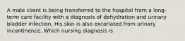 A male client is being transferred to the hospital from a long-term care facility with a diagnosis of dehydration and urinary bladder infection. His skin is also excoriated from urinary incontinence. Which nursing diagnosis is