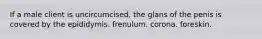 If a male client is uncircumcised, the glans of the penis is covered by the epididymis. frenulum. corona. foreskin.