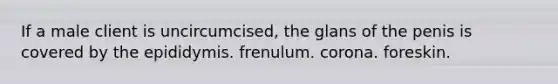 If a male client is uncircumcised, the glans of the penis is covered by the epididymis. frenulum. corona. foreskin.