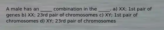 A male has an _____ combination in the _____. a) XX; 1st pair of genes b) XX; 23rd pair of chromosomes c) XY; 1st pair of chromosomes d) XY; 23rd pair of chromosomes