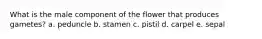 What is the male component of the flower that produces gametes? a. peduncle b. stamen c. pistil d. carpel e. sepal