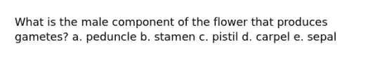 What is the male component of the flower that produces gametes? a. peduncle b. stamen c. pistil d. carpel e. sepal