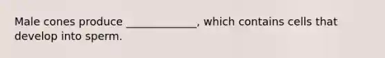 Male cones produce _____________, which contains cells that develop into sperm.