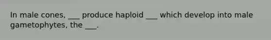 In male cones, ___ produce haploid ___ which develop into male gametophytes, the ___.