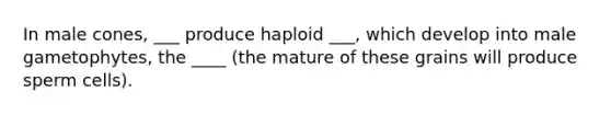 In male cones, ___ produce haploid ___, which develop into male gametophytes, the ____ (the mature of these grains will produce sperm cells).