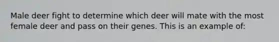 Male deer fight to determine which deer will mate with the most female deer and pass on their genes. This is an example of: