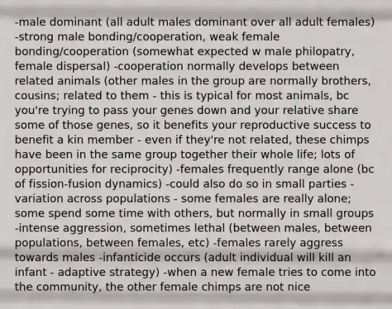 -male dominant (all adult males dominant over all adult females) -strong male bonding/cooperation, weak female bonding/cooperation (somewhat expected w male philopatry, female dispersal) -cooperation normally develops between related animals (other males in the group are normally brothers, cousins; related to them - this is typical for most animals, bc you're trying to pass your genes down and your relative share some of those genes, so it benefits your reproductive success to benefit a kin member - even if they're not related, these chimps have been in the same group together their whole life; lots of opportunities for reciprocity) -females frequently range alone (bc of fission-fusion dynamics) -could also do so in small parties -variation across populations - some females are really alone; some spend some time with others, but normally in small groups -intense aggression, sometimes lethal (between males, between populations, between females, etc) -females rarely aggress towards males -infanticide occurs (adult individual will kill an infant - adaptive strategy) -when a new female tries to come into the community, the other female chimps are not nice