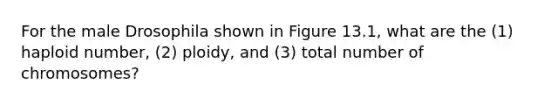 For the male Drosophila shown in Figure 13.1, what are the (1) haploid number, (2) ploidy, and (3) total number of chromosomes?