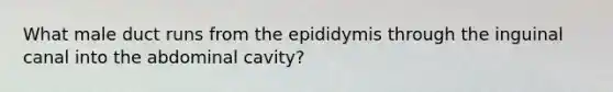 What male duct runs from the epididymis through the inguinal canal into the abdominal cavity?