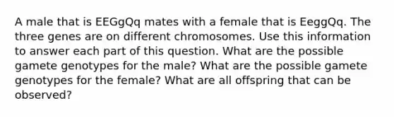 A male that is EEGgQq mates with a female that is EeggQq. The three genes are on different chromosomes. Use this information to answer each part of this question. What are the possible gamete genotypes for the male? What are the possible gamete genotypes for the female? What are all offspring that can be observed?