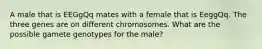 A male that is EEGgQq mates with a female that is EeggQq. The three genes are on different chromosomes. What are the possible gamete genotypes for the male?