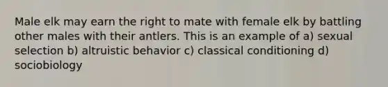 Male elk may earn the right to mate with female elk by battling other males with their antlers. This is an example of a) sexual selection b) altruistic behavior c) classical conditioning d) sociobiology