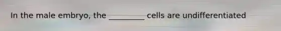 In the male embryo, the _________ cells are undifferentiated