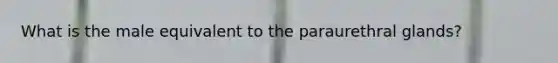 What is the male equivalent to the paraurethral glands?