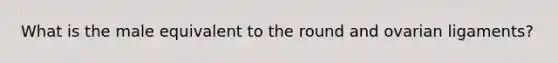 What is the male equivalent to the round and ovarian ligaments?