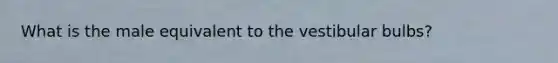 What is the male equivalent to the vestibular bulbs?