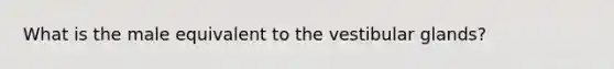 What is the male equivalent to the vestibular glands?