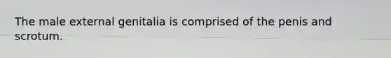The male external genitalia is comprised of the penis and scrotum.
