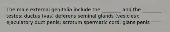 The male external genitalia include the ________ and the ________. testes; ductus (vas) deferens seminal glands (vesicles); ejaculatory duct penis; scrotum spermatic cord; glans penis