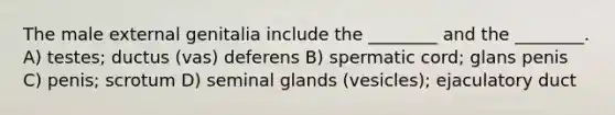 The male external genitalia include the ________ and the ________. A) testes; ductus (vas) deferens B) spermatic cord; glans penis C) penis; scrotum D) seminal glands (vesicles); ejaculatory duct