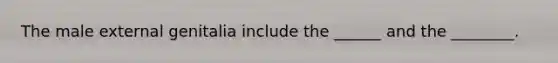 The male external genitalia include the ______ and the ________.