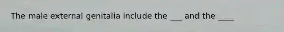 The male external genitalia include the ___ and the ____