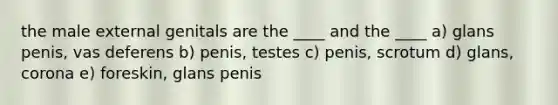 the male external genitals are the ____ and the ____ a) glans penis, vas deferens b) penis, testes c) penis, scrotum d) glans, corona e) foreskin, glans penis