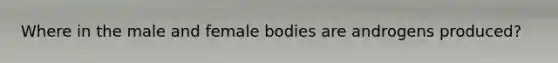 Where in the male and female bodies are androgens produced?