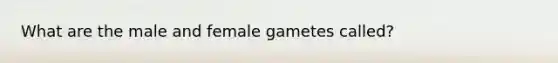 What are the male and female gametes called?