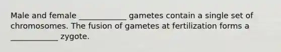 Male and female ____________ gametes contain a single set of chromosomes. The fusion of gametes at fertilization forms a ____________ zygote.