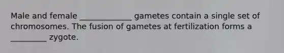 Male and female _____________ gametes contain a single set of chromosomes. The fusion of gametes at fertilization forms a _________ zygote.