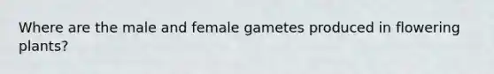 Where are the male and female gametes produced in flowering plants?