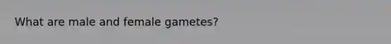 What are male and female gametes?