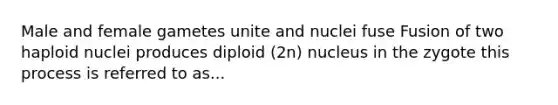 Male and female gametes unite and nuclei fuse Fusion of two haploid nuclei produces diploid (2n) nucleus in the zygote this process is referred to as...