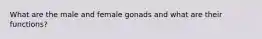 What are the male and female gonads and what are their functions?