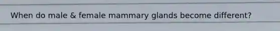 When do male & female mammary glands become different?