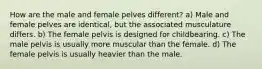 How are the male and female pelves different? a) Male and female pelves are identical, but the associated musculature differs. b) The female pelvis is designed for childbearing. c) The male pelvis is usually more muscular than the female. d) The female pelvis is usually heavier than the male.