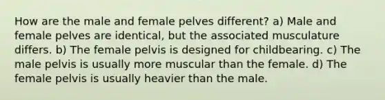 How are the male and female pelves different? a) Male and female pelves are identical, but the associated musculature differs. b) The female pelvis is designed for childbearing. c) The male pelvis is usually more muscular than the female. d) The female pelvis is usually heavier than the male.