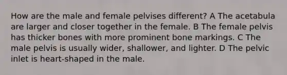 How are the male and female pelvises different? A The acetabula are larger and closer together in the female. B The female pelvis has thicker bones with more prominent bone markings. C The male pelvis is usually wider, shallower, and lighter. D The pelvic inlet is heart-shaped in the male.