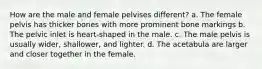 How are the male and female pelvises different? a. The female pelvis has thicker bones with more prominent bone markings b. The pelvic inlet is heart-shaped in the male. c. The male pelvis is usually wider, shallower, and lighter. d. The acetabula are larger and closer together in the female.